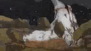 Bleach - Red September - 