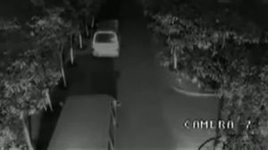 ������ ����� ����� ���� ������ ������ - Vidno