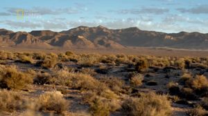 ���� 51. ��������� ����� ���. �������������� �����