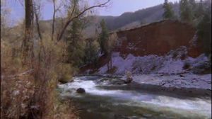 ������ �������� ����� �������� ��� - ���� �� ��������� ������ ����