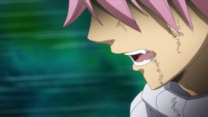 Fairy Tail [TV-3] [Persona99] 51