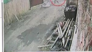 ������� ����� ������ ������� - Info