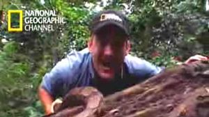 ���������� ������ NG ��� ������ ��������� ������� ����