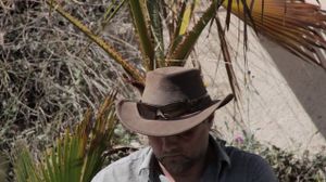 ������������ ������ ������� � ����!