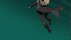 ������ (�������)