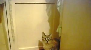 don't look at me! (�� �������� �� ����!)