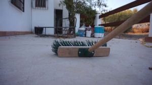 �������� (������� ��������)