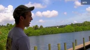 ������ ������ �� ������ 360-�������������� ���������� - Vidno