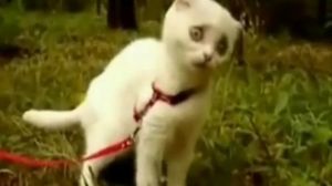 � ������! � ������! - ������