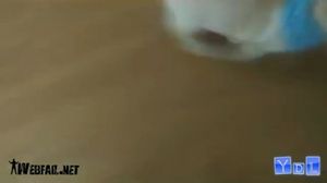 ������� �������� ������ � �������� � ���������