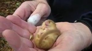 ������ ������� �����