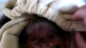 ����� ��� �������(����)