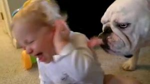 ��������� �������� � �������