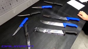   DALIMANN    Giesser  DICK