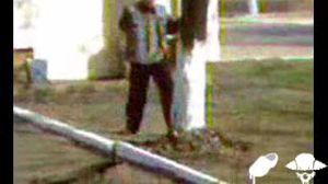 ��� � �����))