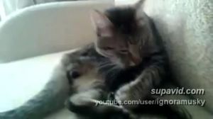 ��� ��*��� ��� ����! 