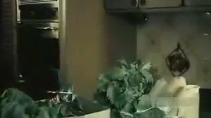 ������ ������� �� ����� ������ - ����� 