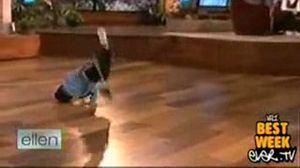 ������ ���� ������� ������� - ���������