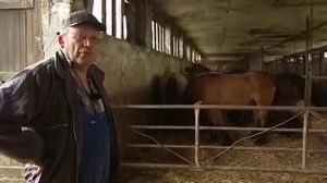 �� � ���� - ���������