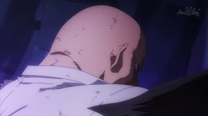    5  6  ( AniPlay) Boku no Hero Academia