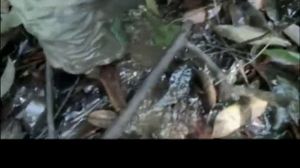 ������ �� �������� - 02 - �����������