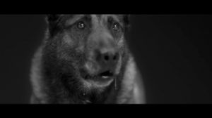 WOODKID - Iron - �����, �����!