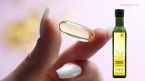 Artraid. ����� ��� ���� � ������������. ���� � ����������� ������ � ������� �������.