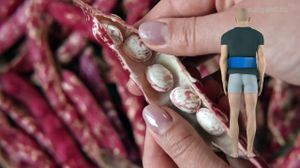 ������������� ���� �� ���������. ������������� ����� ������ � �������� � ����� � ��������.