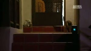 ���-��������� ������ ��� ������