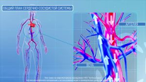 ���������� ������� ������ �������: ������������� ������� � ������������ ��� ��������.�������� ���� - ���������� �������