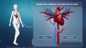 ���������� � ��������. ������� �� ��������� ��� ������ ��������. - ���������� �������