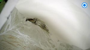 ������� � ������������ � ����� ��������� � ������ ����������� - ���������� �������