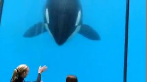 ������������ ��������� ������� � �������