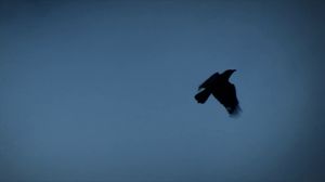 124364 (3) - �����