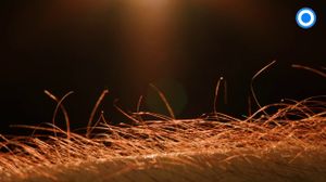 ????���������� ���������� Artraid. ������������ ��� ������ ��������???? - �����