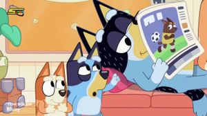 BLUEY 35