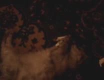 ������ ����������...