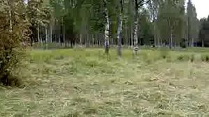 ������ ����������