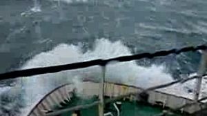 �����, ��� �� �����